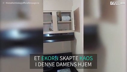 Ekorn skaper kaos på kjøkkenet