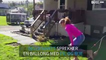 Jente sprekker en ballong med pil og bue ... mens hun står på hendene!