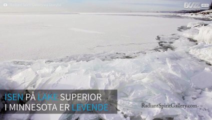 Isen på Lake Superior er levende!