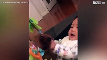 Søt baby og valp som leker sammen!