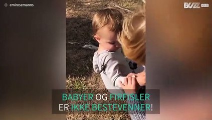 Baby blir livredd av firfisle som klatrer på ham