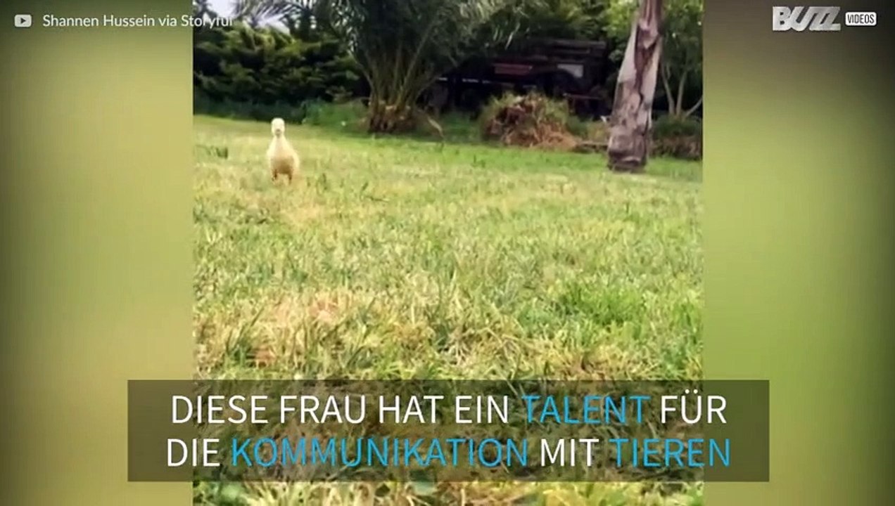 Diese Frau ist der Dr. Dolittle von Australien!