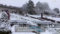 Parisare åker skidor i Montmartre efter snöfallet