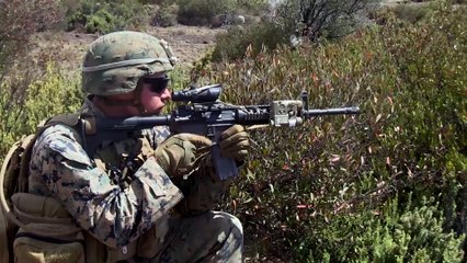 US Marines Squad live Fire Exercise