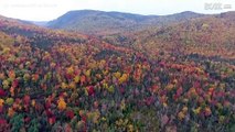 Die fantastischen Farben des kanadischen Herbsts