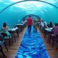 مطعم تحت البحر في هوراوالهي جزر المالديف