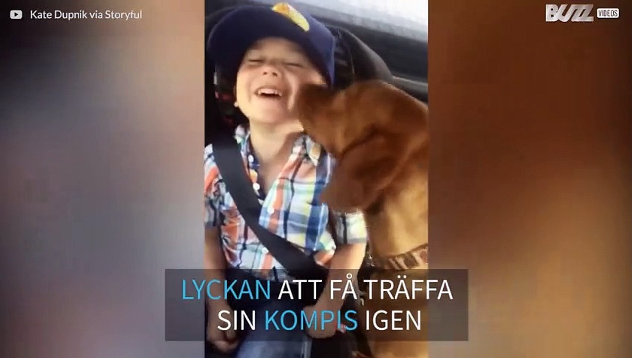 Den här hunden är verkligen glad att träffa "li...