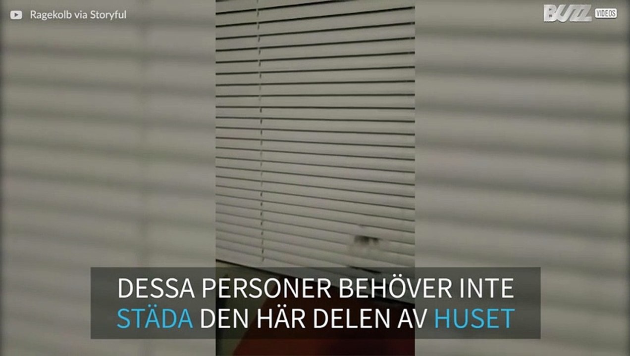 Vad ska du med en dammtrasa till när du har den...