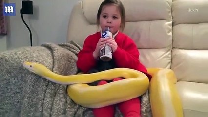 SHHHocking! Girl pets massive python sitting on her lap