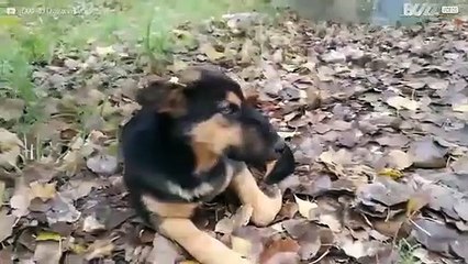 Tschernobyl: Geisterstadt im Norden der Urkaine