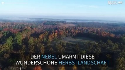 Die neblige Herbstlandschaft in South Carolina