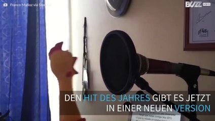 „Despacito” war gestern – hier kommt die Hühnchenversion