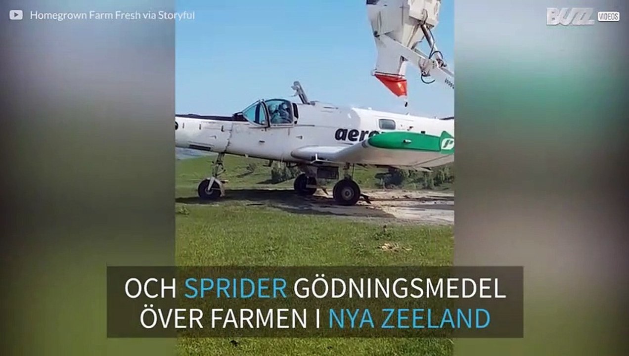 Ovanlig metod: flygplan häller gödningsmedel på betesmark