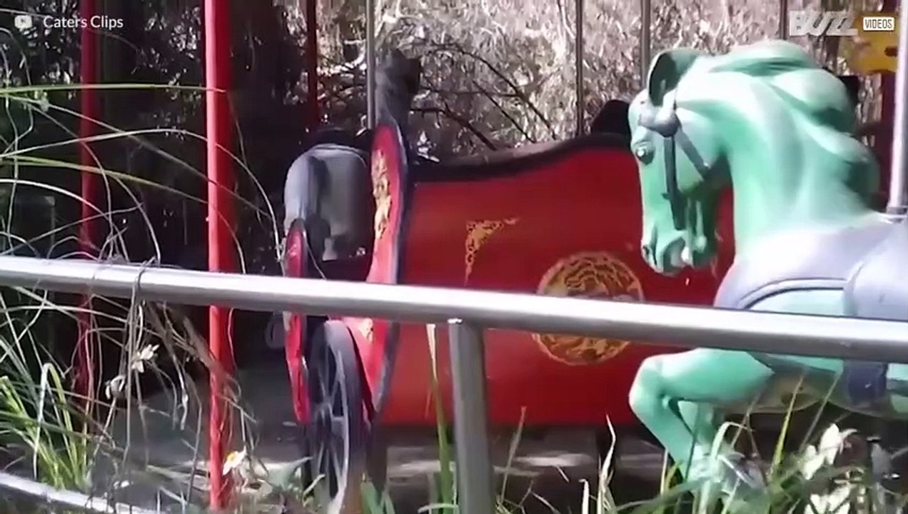 Die faszinierendsten verlassenen Orte 2017