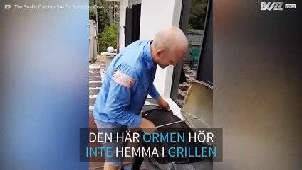 Familj hittar en gigantisk pytonorm i grillen