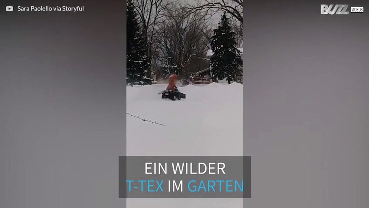 Dinosaurier spielen gern im Schnee