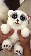 طيب أم شرير ما رأيك في هذا الكلب؟!