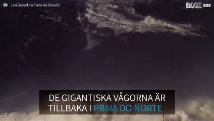 Sebastian Steudtner surfar på gigantisk våg i Nazaré i Portugal