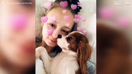 Den här hunden hatar att ta selfies med sin ägare