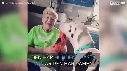 Den här 90-åriga kvinnans bästa vän är en enorm hund.