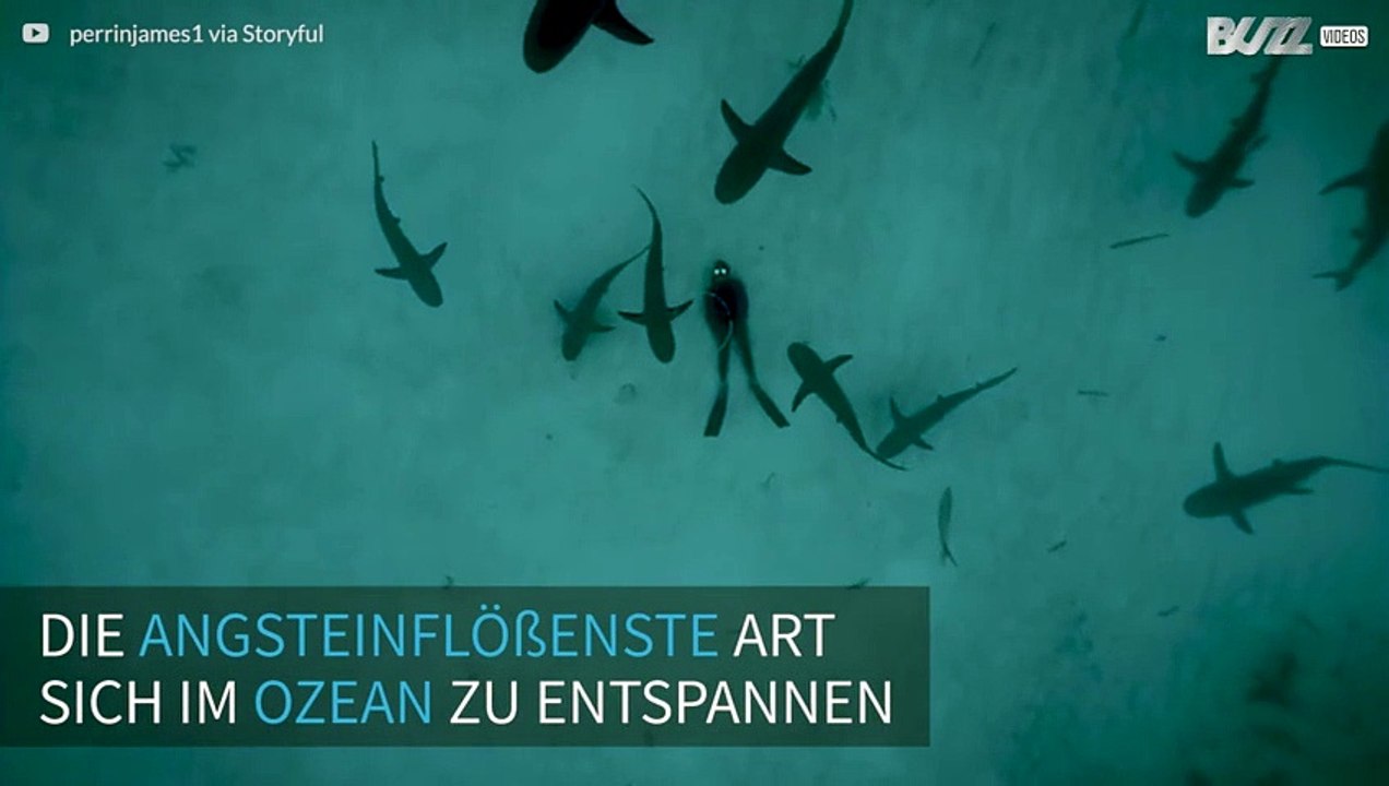 Ein Tauscher liegt auf einer Sandbank - von Haien umringt