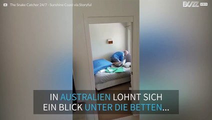 Ängstliche Frau von riesiger Eidechse überrascht