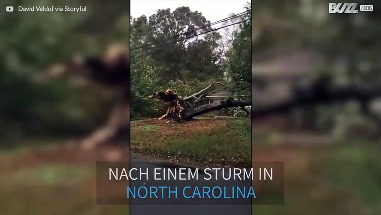 Baum fällt auf Haus und zerstört es gänzlich