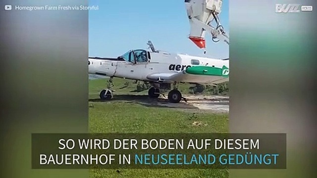 Ungewöhnliche Methode: Flugzeug wirft Dünger auf ein Weidefeld