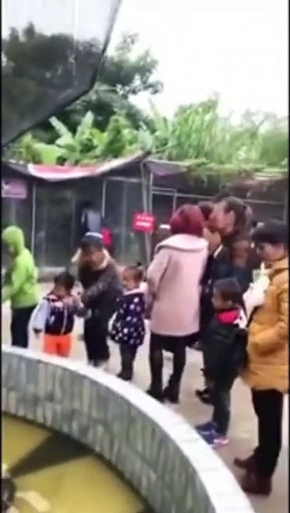 Worlds worst zoo has a tortoise in a box chickens ducks // Der schlechteste Zoo der Welt