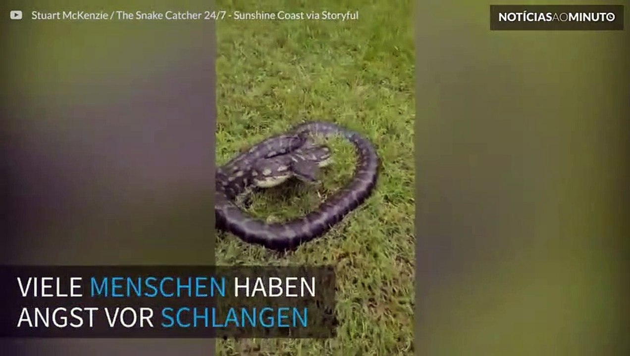 Warum Sie Angst vor Schlangen haben sollten