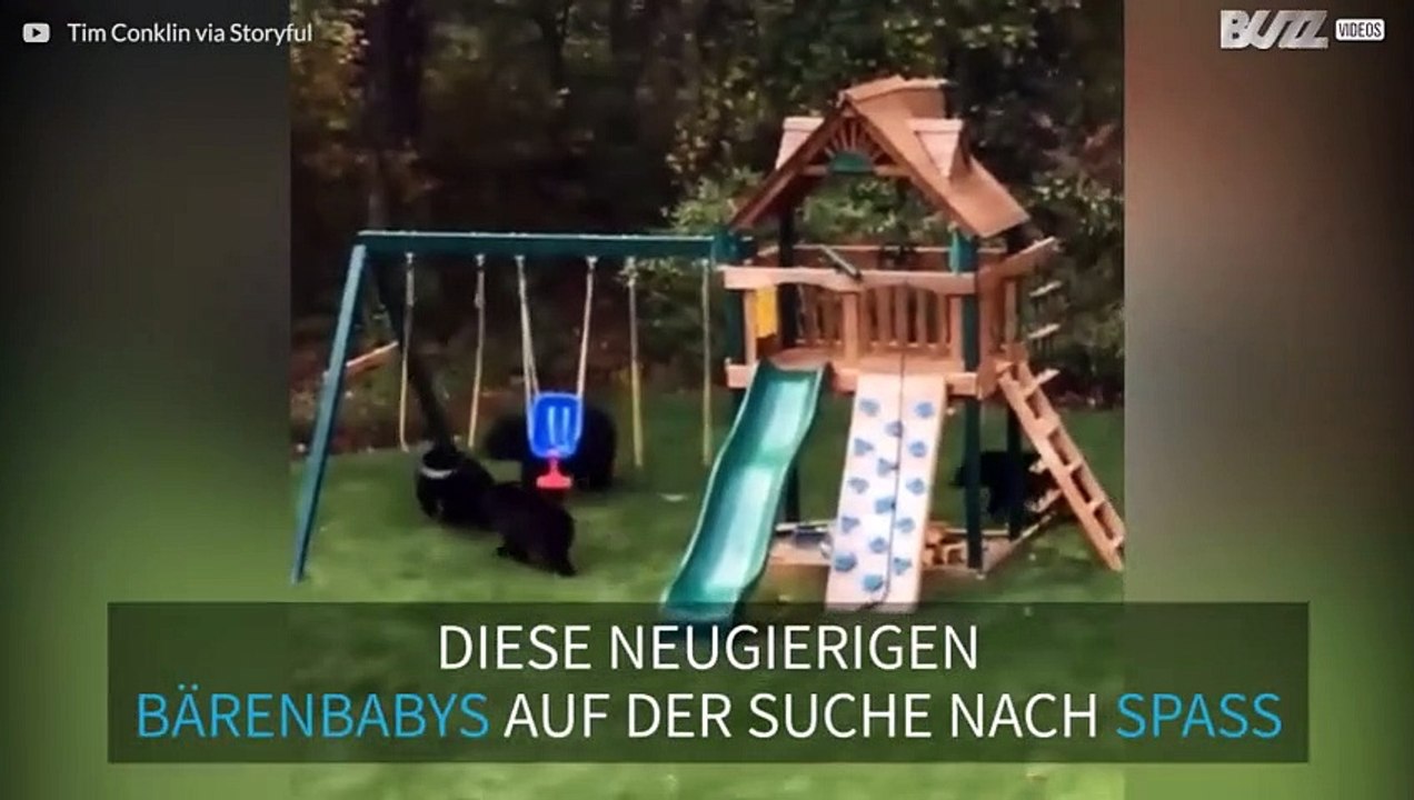 Bärenbabys auf dem Spielplatz