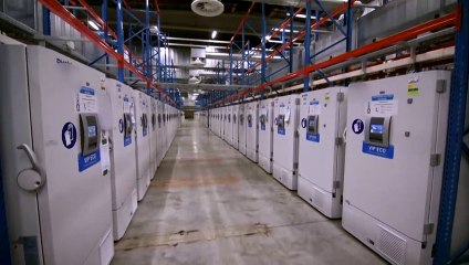 UE estende controle de exportação de vacinas