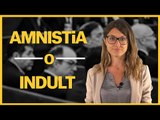 DIFERÈNCIES entre AMNISTIA i INDULT, explicat en 2 minuts