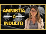 DIFERENCIAS entre AMNISTÍA e INDULTO, explicado en 2 minutos