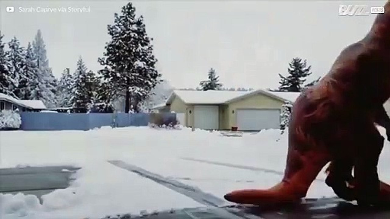 T-Rex schaufelt Schnee