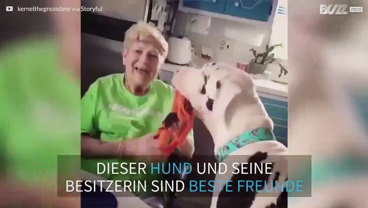 90 Jährige hat riesen Hund!