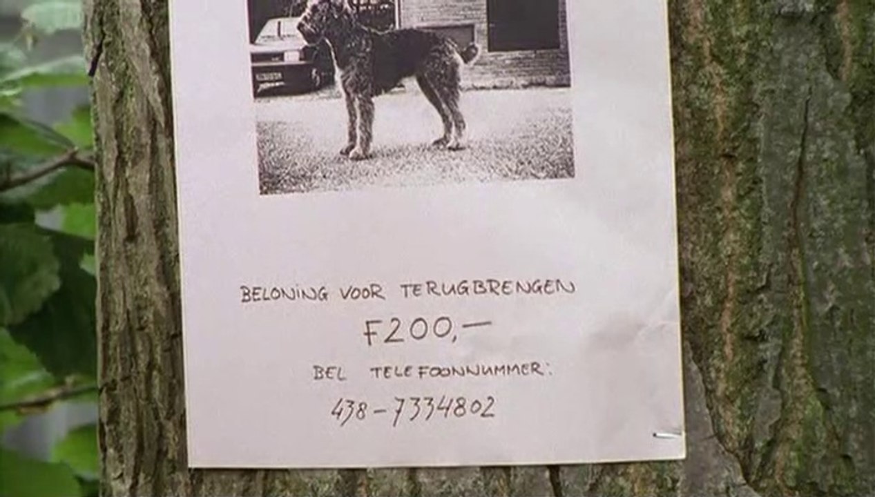 Flodders - 46. Finderlohn