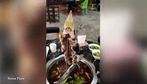 Gutted fish twitches on hook as diners try to eat it