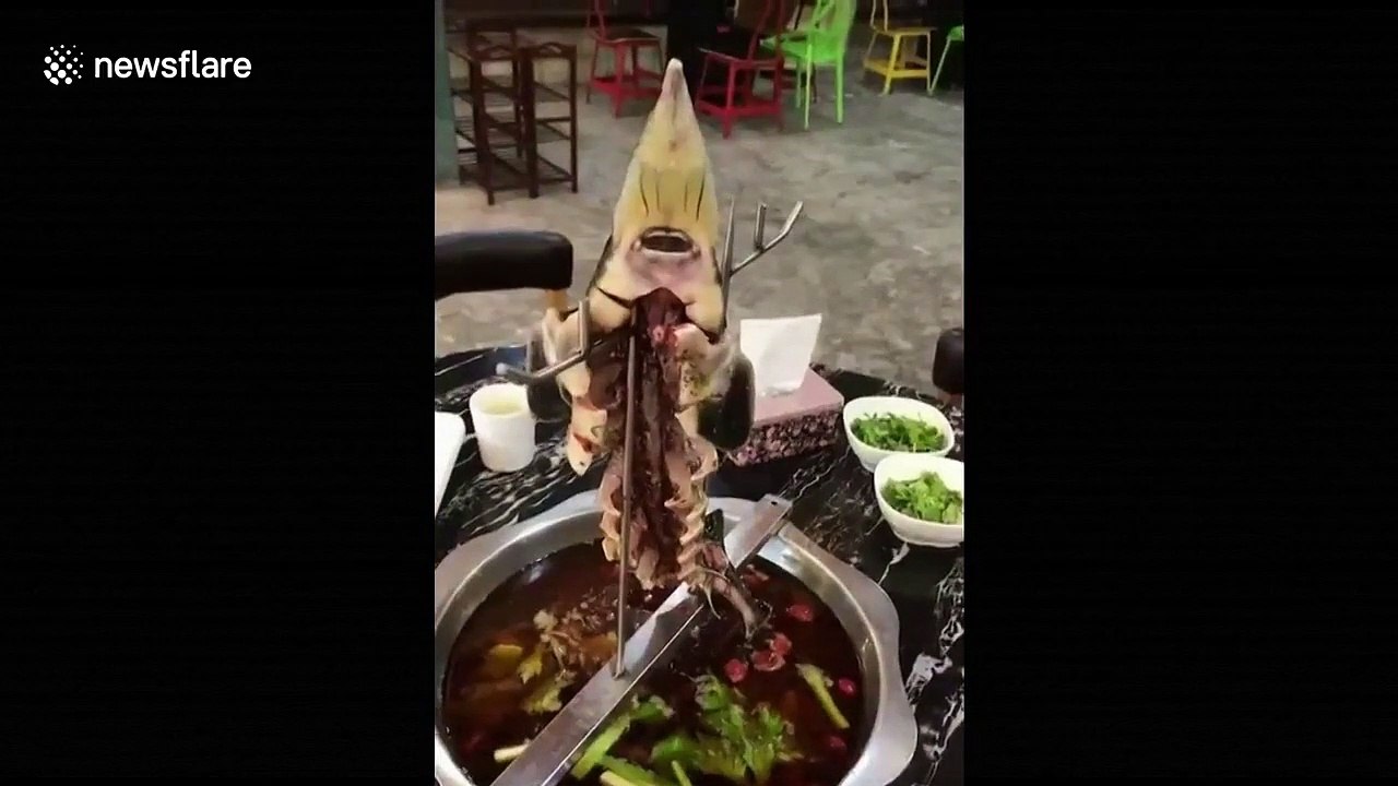 Dissected fish hanging above hot pot still moves