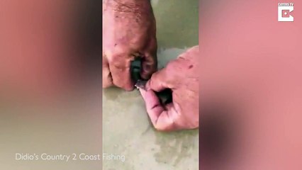 Fisherman Pulls Worms From Sand