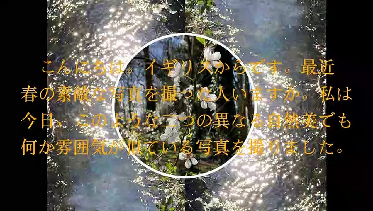 Hello from UK. Please send some money for me to keep creating special art like this. Thank you