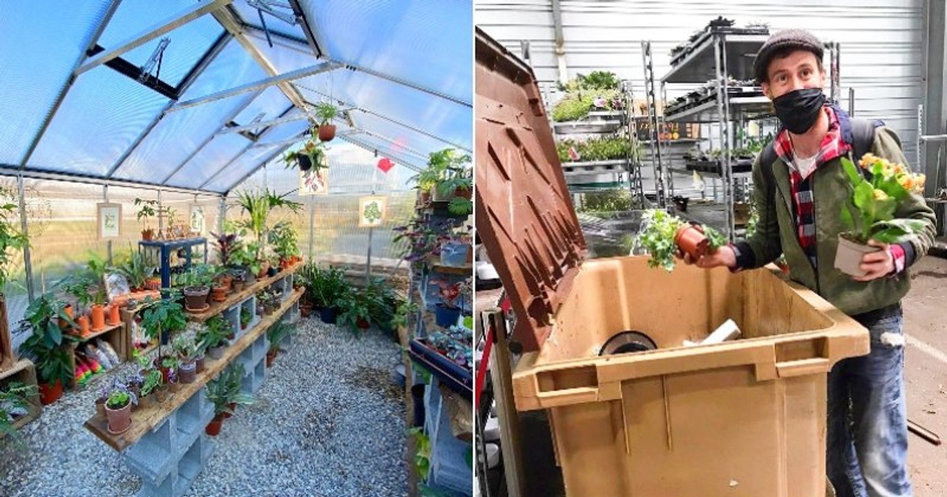 Un pépiniériste lyonnais ouvre une SPA dédiée aux plantes pour lutter contre le gaspillage