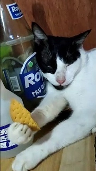 tulog o kain?