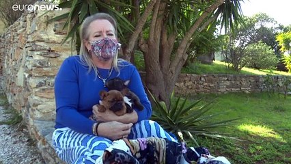 Új görög törvény védi a kisállatokat