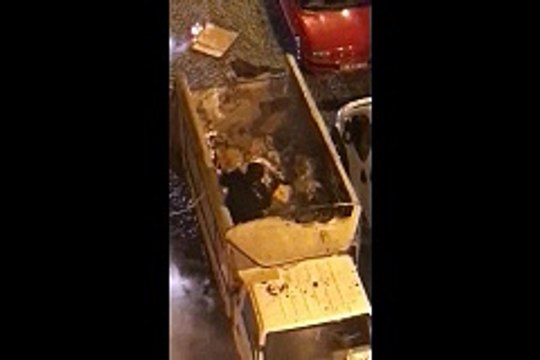 Ekmek teknesi için canını hiçe saydı