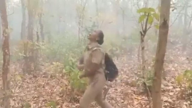 The Dance of joy: Woman forest guard enjoys as rain lashes Similipal National Park