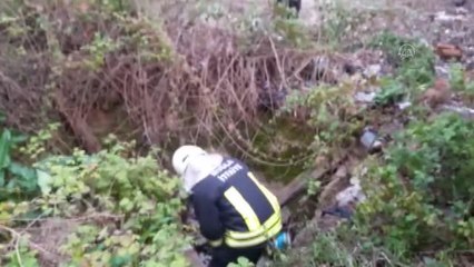 Son dakika haberi: Kanalda mahsur kalan köpek ile yavruları kurtarıldı