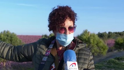 El 'fruiturisme', una dulce experiencia de proximidad en Aitona