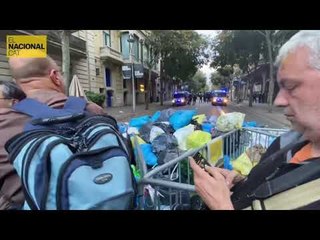 La brossa davant la Delegació del Govern ja sobrepassa l'alçada de les tanques perimetrals