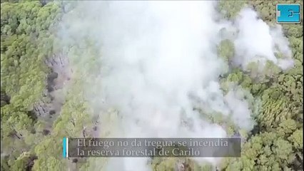 El fuego no da tregua: se incendia la reserva forestal de Cariló